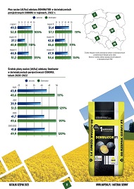 katalog