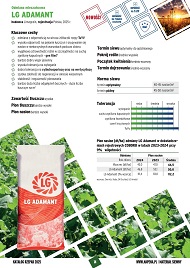 katalog