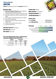 katalog