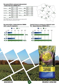 katalog