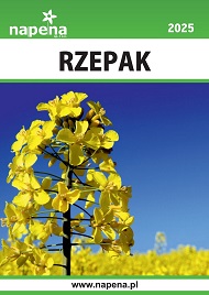 katalog