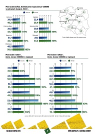 katalog