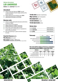 katalog