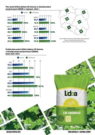katalog