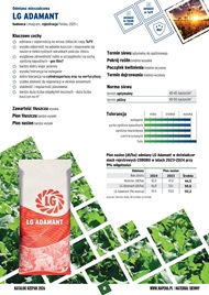 katalog