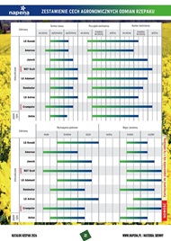 katalog