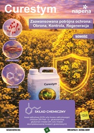 katalog