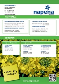 katalog
