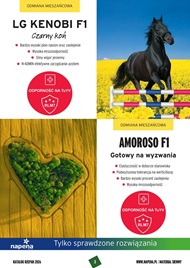 katalog
