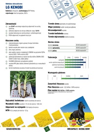 katalog