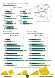 katalog
