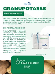 katalog