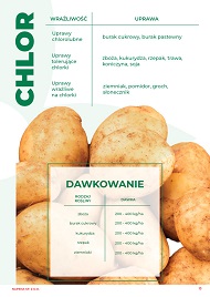 katalog