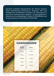 katalog