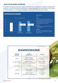 katalog