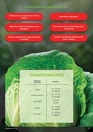 katalog