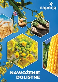 katalog