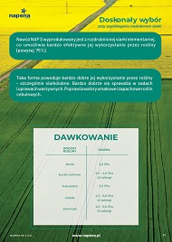 katalog
