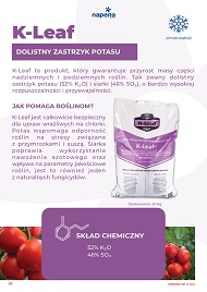 katalog