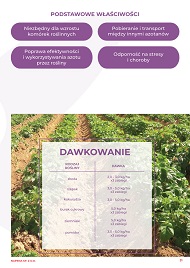 katalog