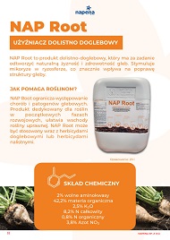 katalog