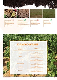 katalog