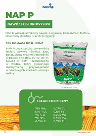 katalog