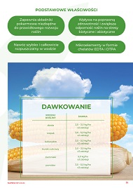 katalog