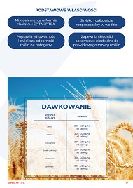 katalog