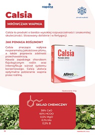 katalog