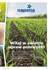 katalog