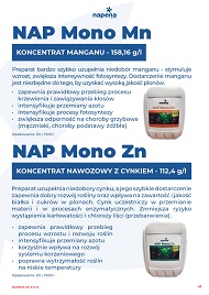 katalog