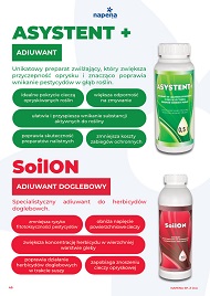 katalog