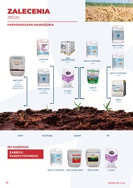 katalog