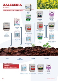katalog