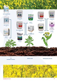 katalog