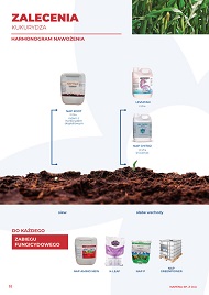 katalog