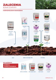 katalog
