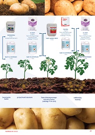 katalog
