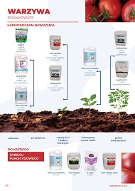 katalog
