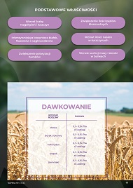 katalog