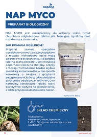 katalog