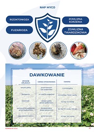 katalog