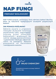 katalog