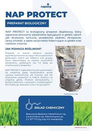 katalog