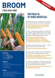 katalog